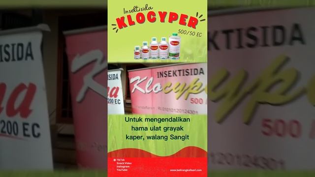 KLINIK BELKA MOBIL BOX KLOCYPER 500 / 50 EC DI KONCO TANI KEDIRI смотреть онлайн