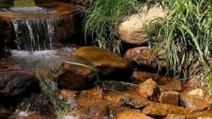 Учкудук три колодца...исп. ВИА  Ялла