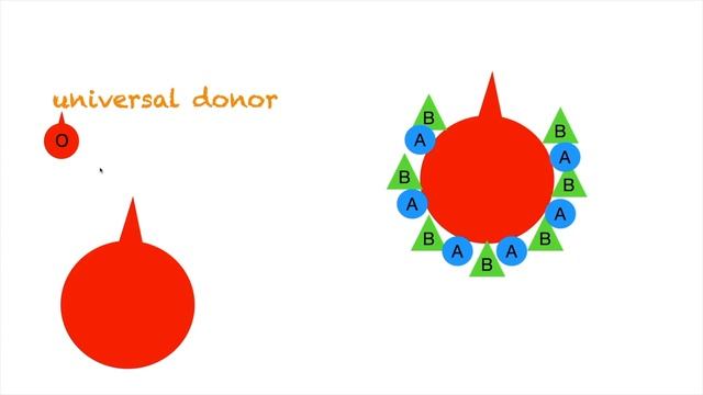 Blood Types Explained: Easy and Simple смотреть онлайн