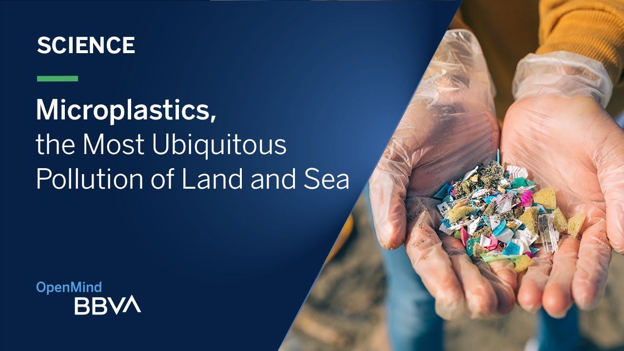 Microplastics, the Most Ubiquitous Pollution of Land and Sea | Science pills смотреть онлайн