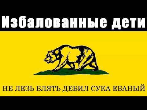 Ватоадмин критикует либертарианство смотреть онлайн