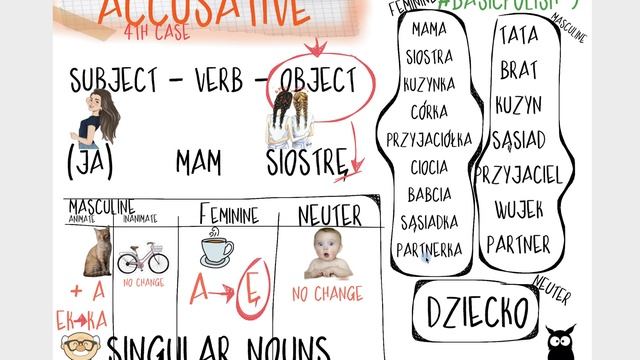 #BASICPOLISH. THE ACCUSATIVE CASE (9) смотреть онлайн