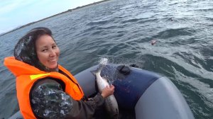 Рыбалка на свой страх и риск. Лов кеты на сетку.