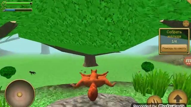 Играю в симулятор белки смотреть онлайн