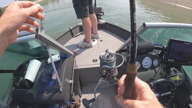 Mitten im Strom: mit Wobbler am Rhein смотреть онлайн
