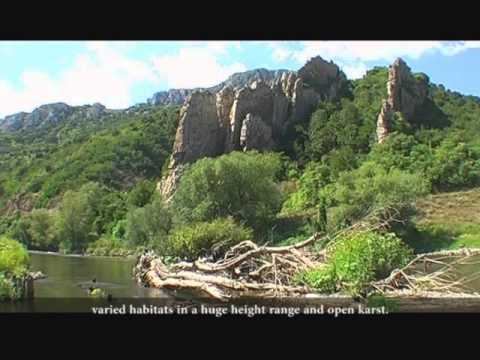 Flora & Fauna in Nature Park Vrachànski Balkan смотреть онлайн