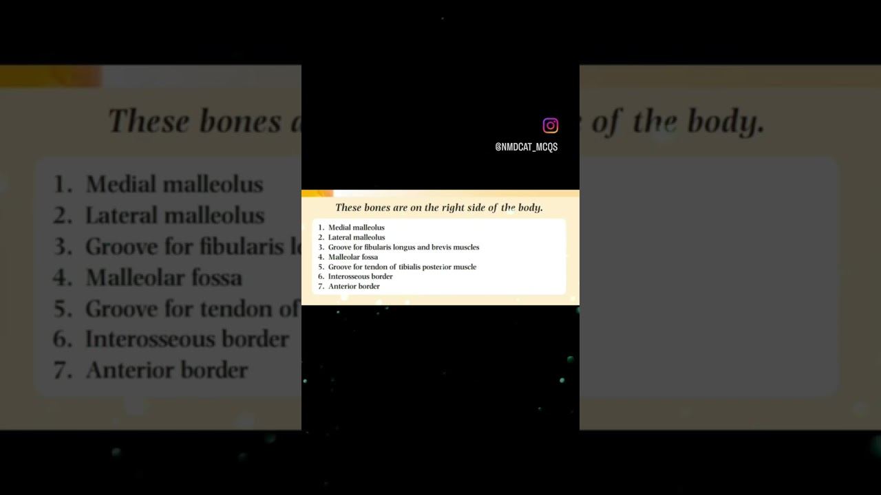 Tibia and Fibula#mbbs #lowerlimb#ospe#bds#dpt#doctor#bone#proff#usmle#medico#istproff#medicalschool смотреть онлайн