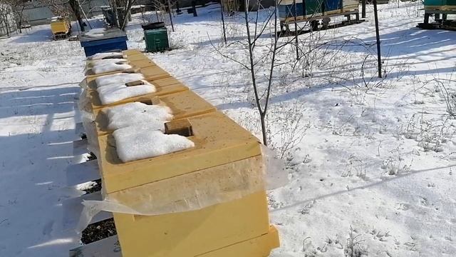Первый облет 24 января 2021 смотреть онлайн