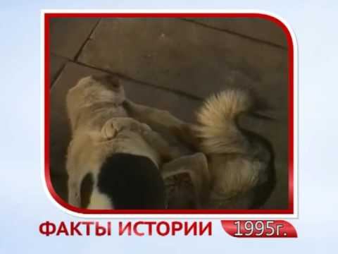 25 лет: Факты истории смотреть онлайн