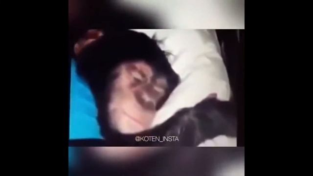 Самое смешное видео на канале!)) 179 секунд смеха)) смотреть онлайн
