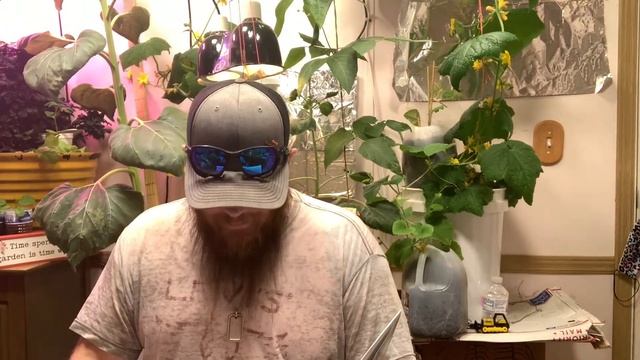 Why I use Prevegenics and about their products part 2!!! смотреть онлайн