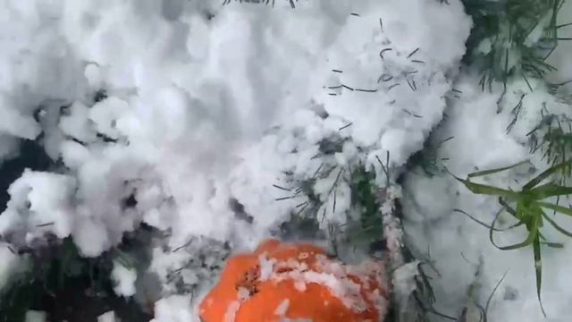 Спасаем сад от слома деревьев смотреть онлайн