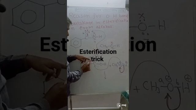 esterification trick смотреть онлайн