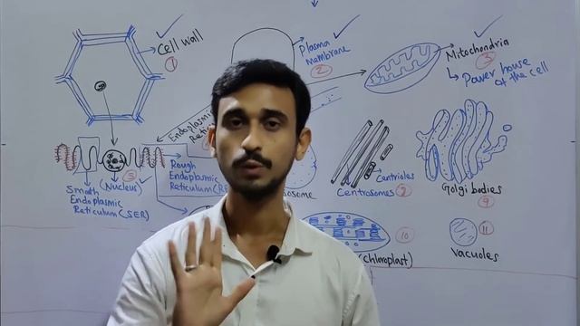 Cell Organelles Function | Explained in Tamil | Learn wit Nawaz | Part - 4 смотреть онлайн