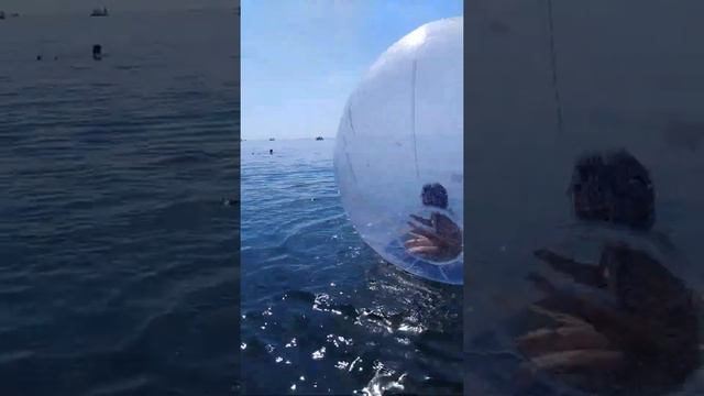 Даша в шаре на пляже в Солнечногорском 29.07.2019. смотреть онлайн