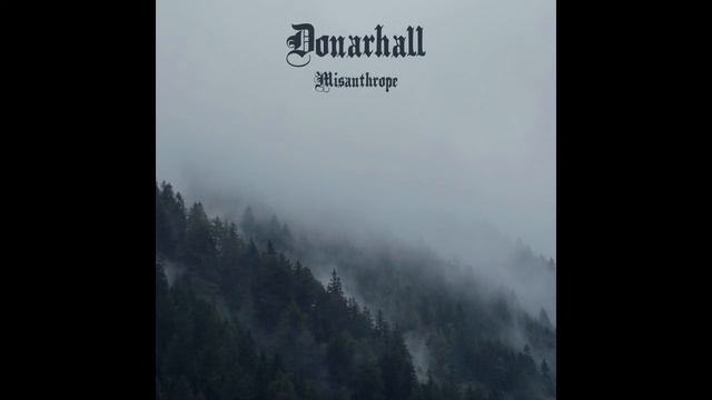 Donarhall - Nebelfeld (Instrumental Atmospheric Black Metal) смотреть онлайн
