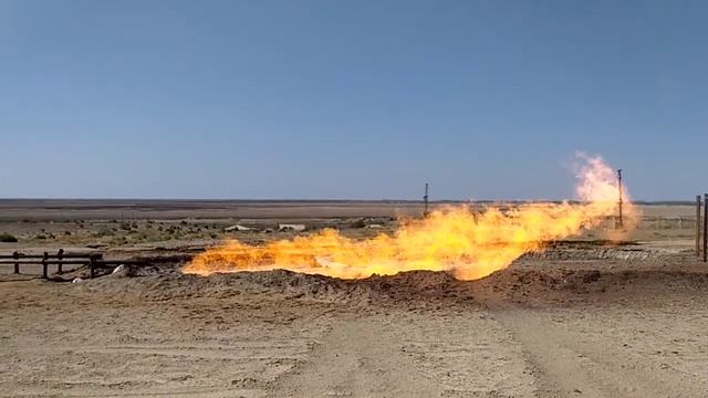 “Шарқий Бердақ” конидаги 81 сонли қудуқ смотреть онлайн