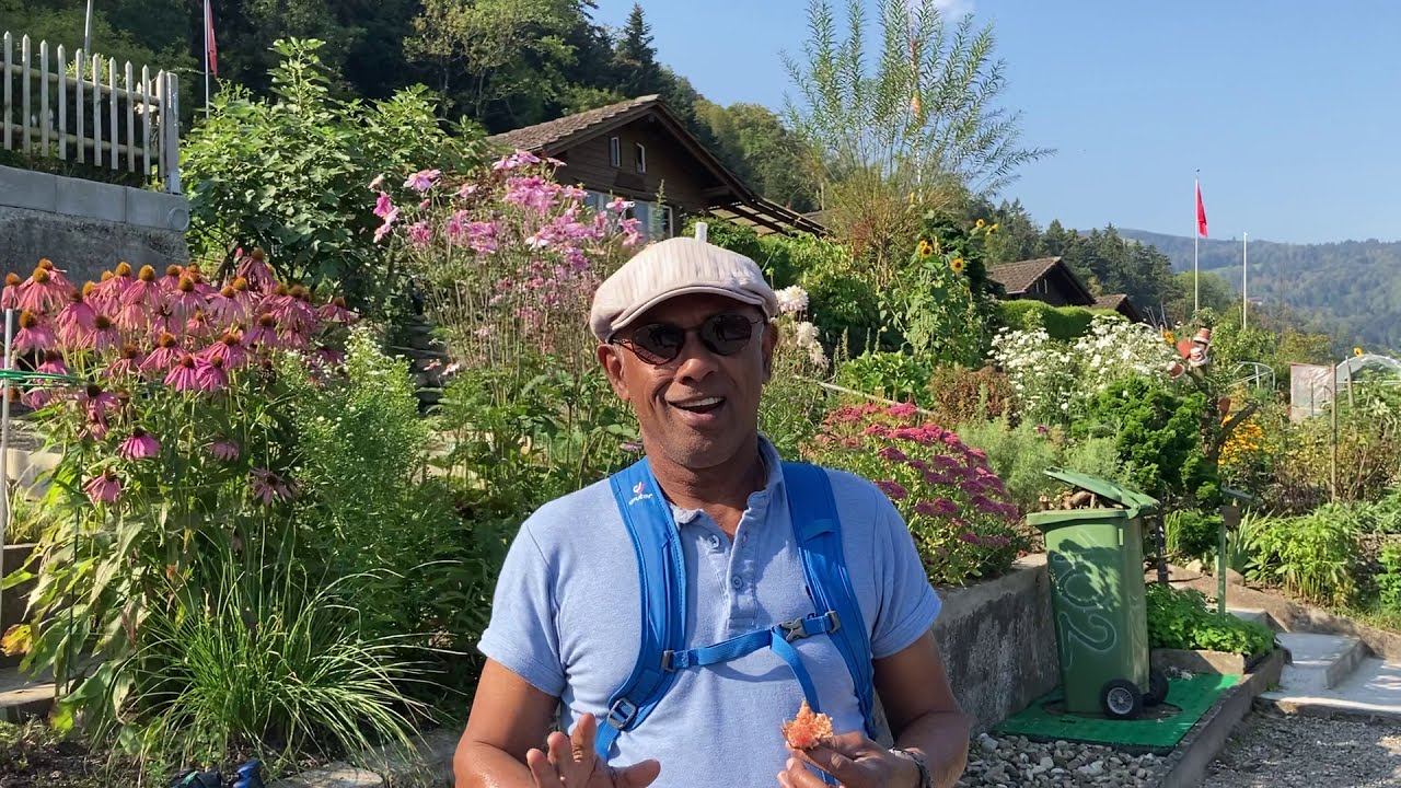 Small swiss summer garding help lot in Switzerland No. 27 (in Sinhala) смотреть онлайн