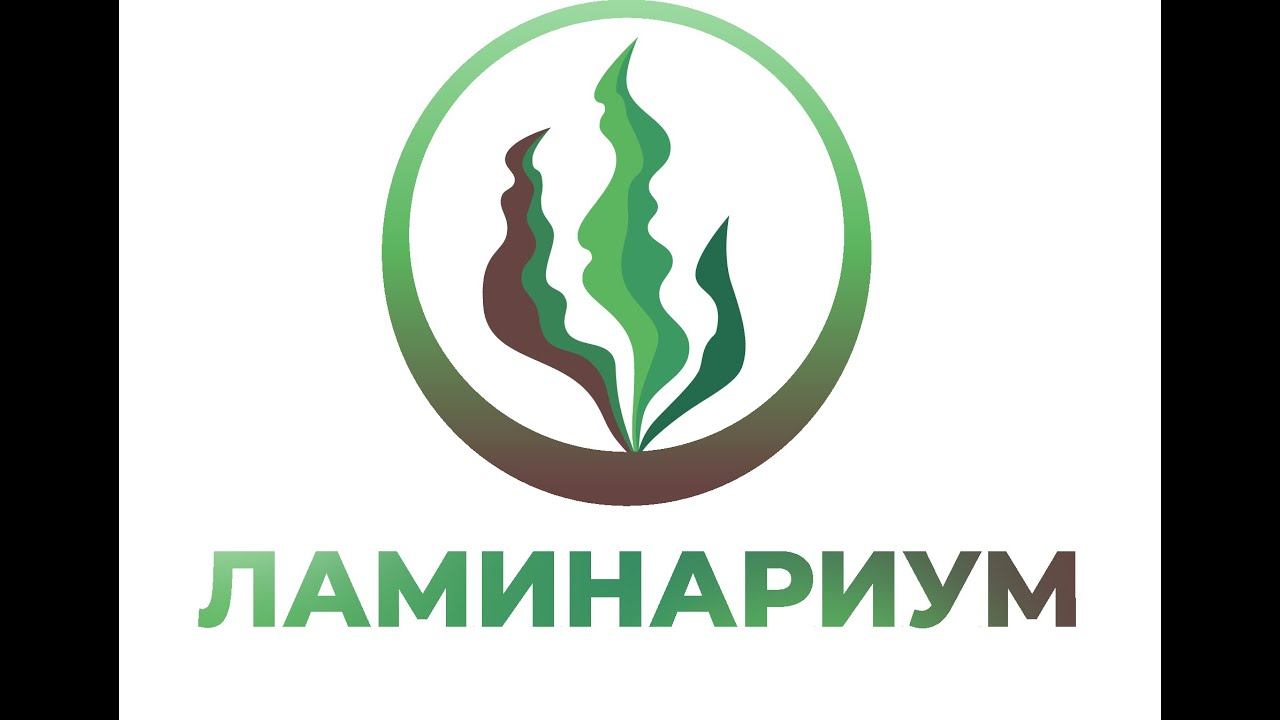 Лекция от Серебренниковой Галины Владимировны video1244908180 смотреть онлайн