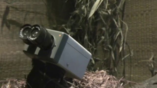 The Village Petstore and Charcoal Grill - CCTV смотреть онлайн