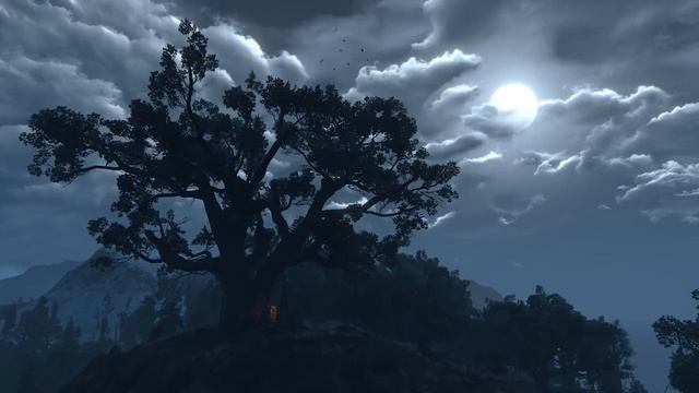 The Witcher 3's Next Gen Upgrade Looks.. смотреть онлайн