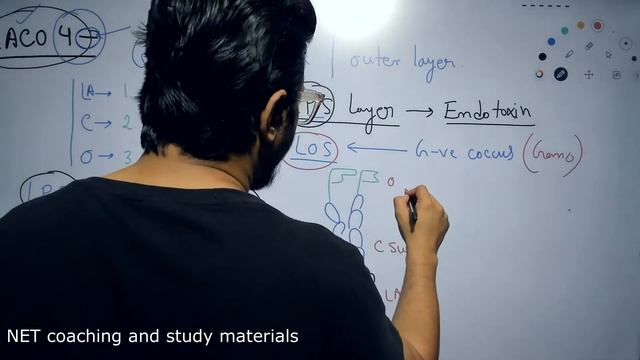 Endotoxin mechanism of action | Lipopolysaccharide LPS смотреть онлайн