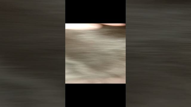 кошечка смотреть онлайн