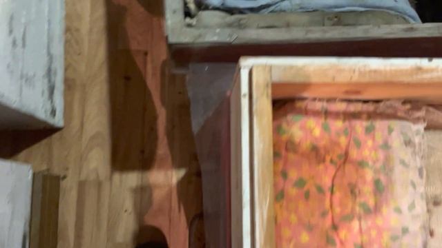 Пчелы после аномальных холодов смотреть онлайн