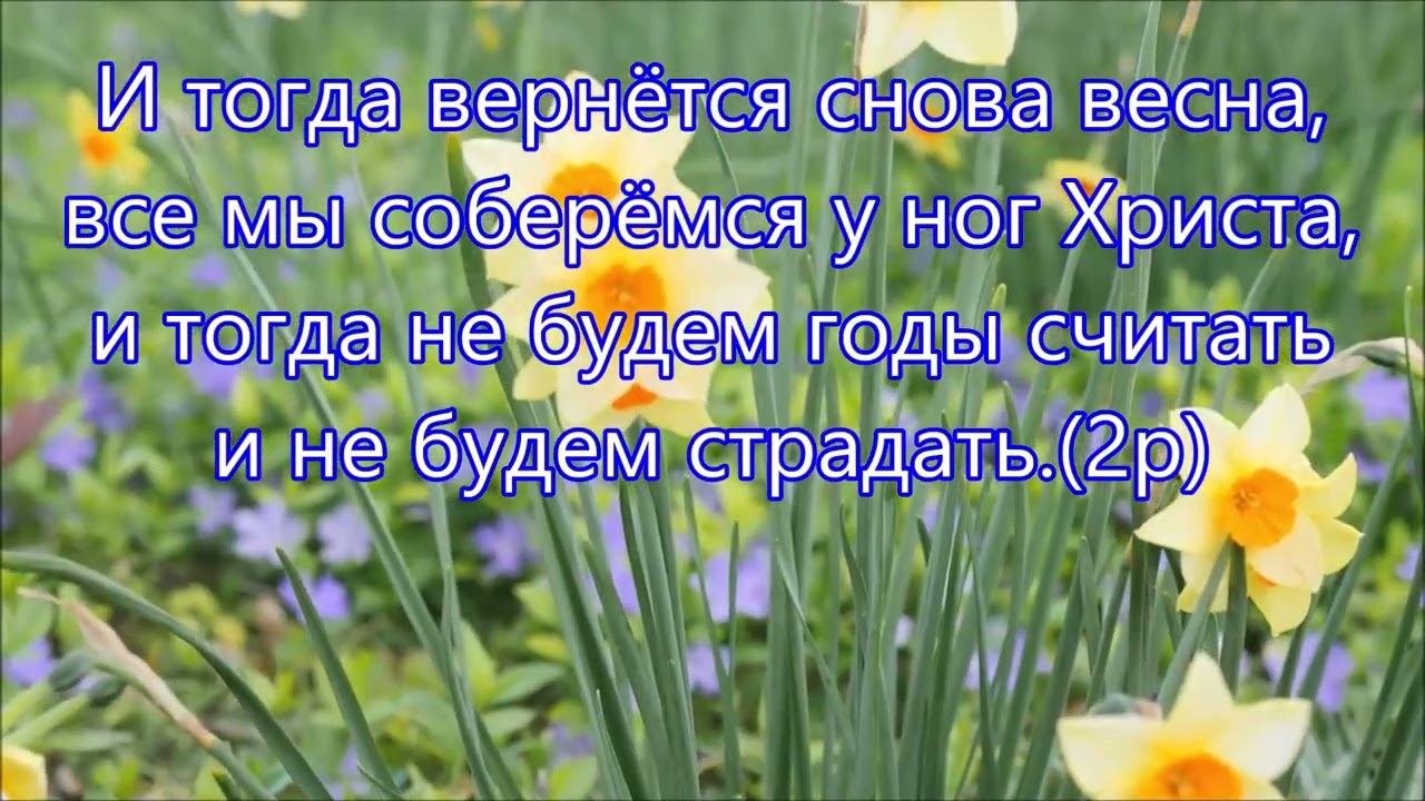 Снова весна! смотреть онлайн