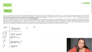 Разбор задач на псевдоаутосомы за 40 минут - ЕГЭ по Биологии