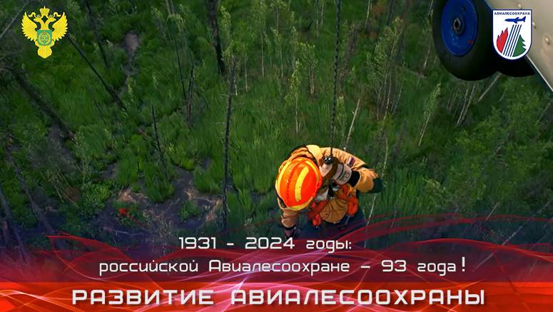 Развитие Авиалесоохраны-2024 смотреть онлайн
