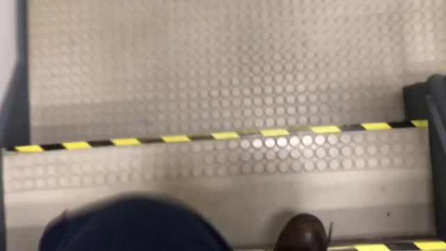 Simplex Fire Alarm Test #71- Thank YOU For 10000 Subscribers! смотреть онлайн