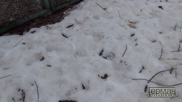 Kol-O-Bok - Умные собачки (глупые хозяева) смотреть онлайн