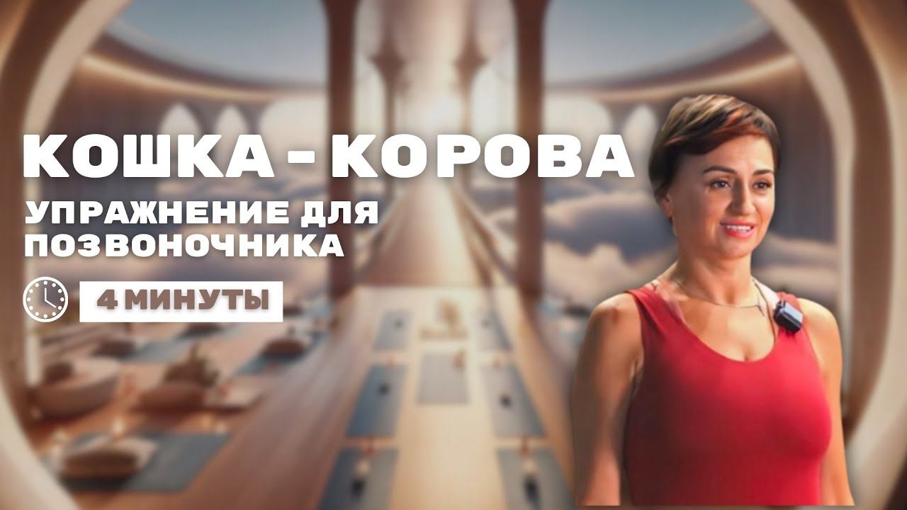 Самое эффективное упражнение для позвоночника и внутренних органов. Йога кошка корова смотреть онлайн