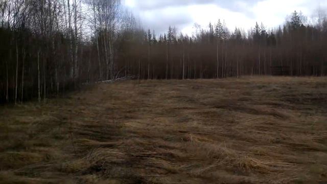Отчет о лесопосадке. Планы на расширение. Старая просека УЖД смотреть онлайн