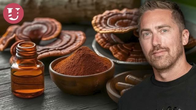 Daniel Fiala 2. díl: Dřevokazné houby účinkují i na děti a zvířata. To dokazuje, že to není placebo смотреть онлайн