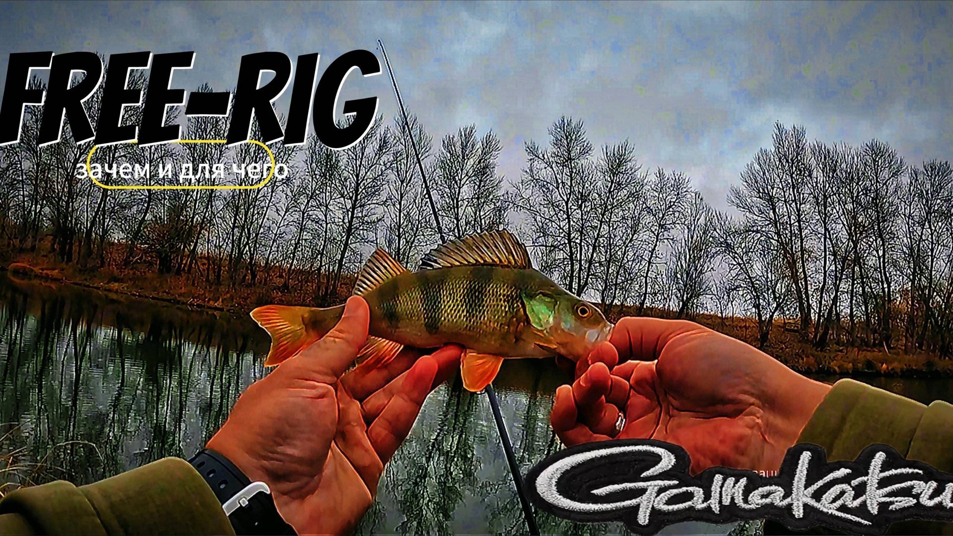 ОСНАСТКА FREE-RIG | ОКУНЬ ЗАКРЫЛ РОТ | МИКРОДЖИГ ПОЗДНЕЙ ОСЕНЬЮ смотреть онлайн