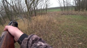 Охота на зайца 2024. Шляпа. Ростовская область