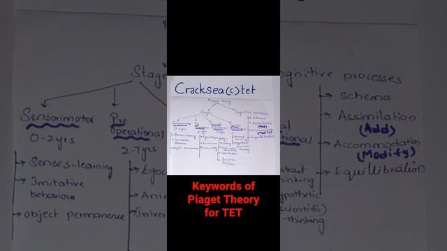 Keywords of PIAGET COGNITIVE DEVELOPMENT THEORY FOR CTET смотреть онлайн