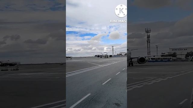 Быстрый SCAT смотреть онлайн