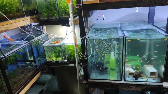 Результаты и приятная работа... смотреть онлайн