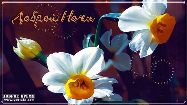 КРАСИВЫЕ ПЕСНИ ОБО ВСЁМ...АНГЕЛ МОЙ...ДОБРОЙ НОЧИ! смотреть онлайн