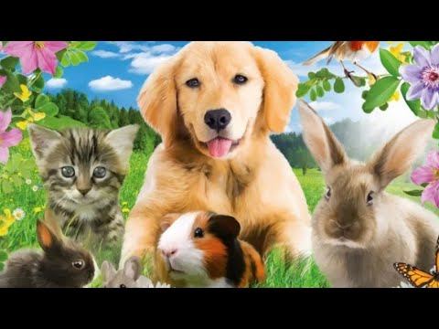 ЖИВОТНЫЙ МИР В ТВОЁМ САДУ / the world of animals in your garden. смотреть онлайн