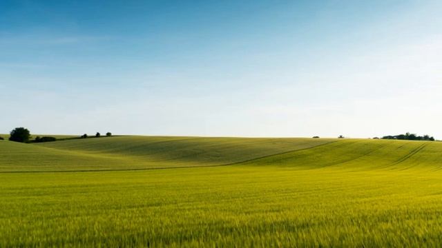 Классика жизни цитаты воздержание и саморазвитие смотреть онлайн