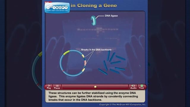 Steps in gene cloning смотреть онлайн