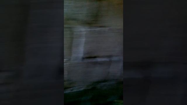 Вилупление циплят,под квочькой)))голошейки.. смотреть онлайн