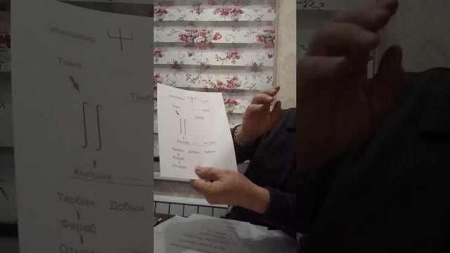 Қият тарақтылардың тарихы (III бөлім). смотреть онлайн