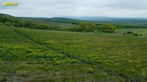 УСАДЬБА СЕНЕТХ. Краснодарский край, село Фадеево. Интервью с Дмитрием Власовым.