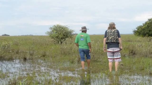 Green Toad Bus Pantanal Trips смотреть онлайн