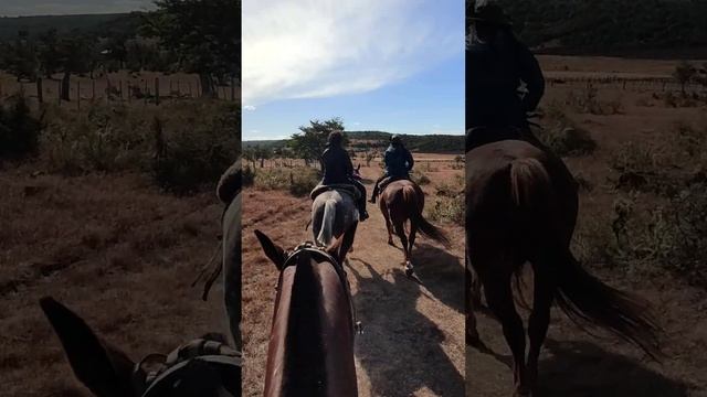 CABALGATA ESTANCIA CABO SAN PABLO, TIERRA DEL FUEGO, ARGENTINA смотреть онлайн